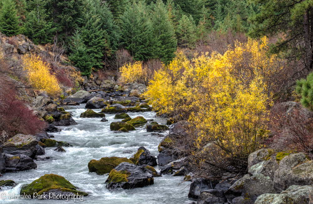 There was still some color along the river.