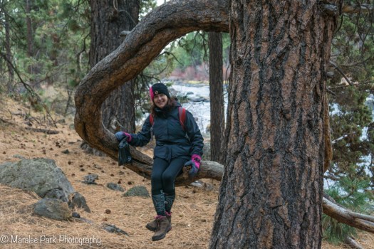 We came across this interesting tree on our walk.