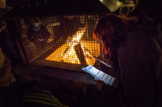 Outside by the fire pit