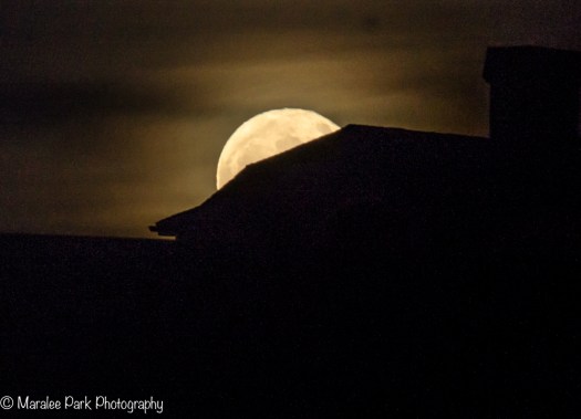 Silhouette Moon