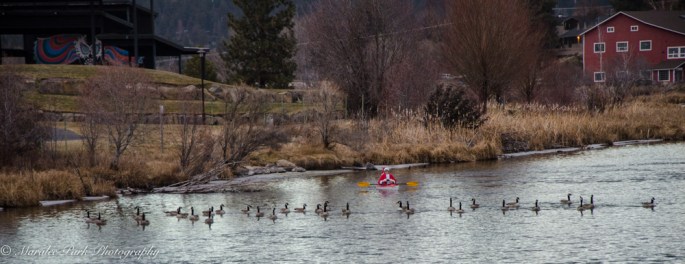 Christmas Kayak Parade on the Deschutes River