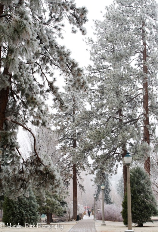 Drake Park, Bend, Oregon