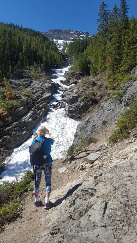 Taking in the scenery