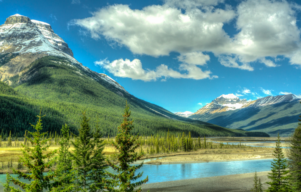 Along the Columbia Icefields Parkway