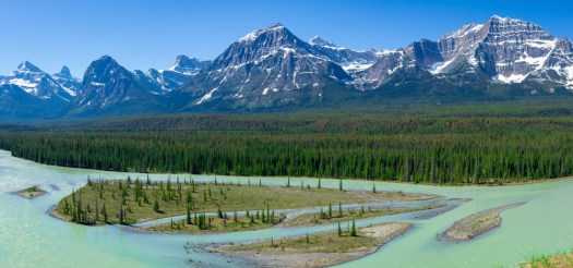 Along the Columbia Icefields Parkway