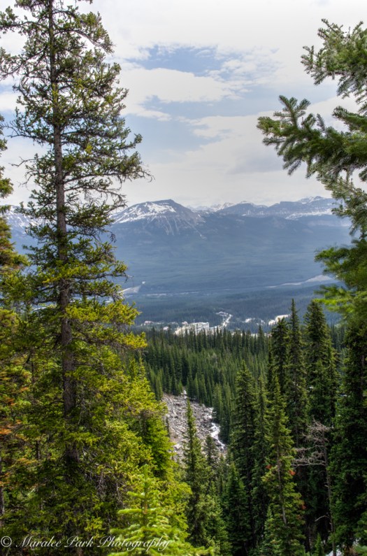 View of the valley from the teahouse. 