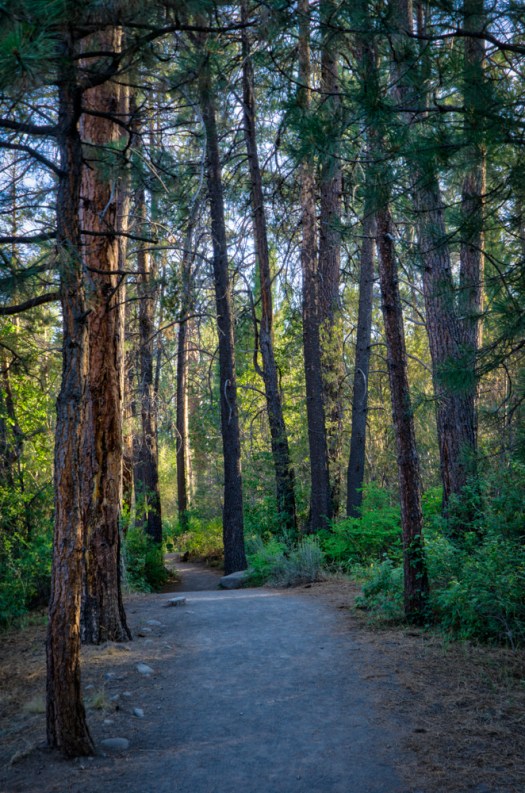 Shevlin Park Trail