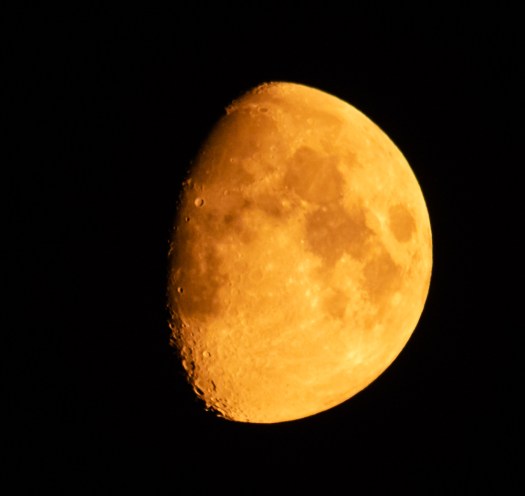 Orange Moon