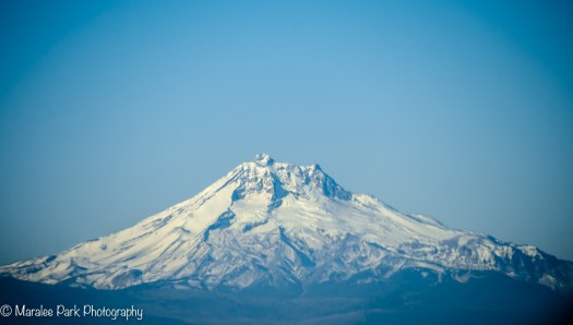 Mt. Jefferson, Oregon Cascades