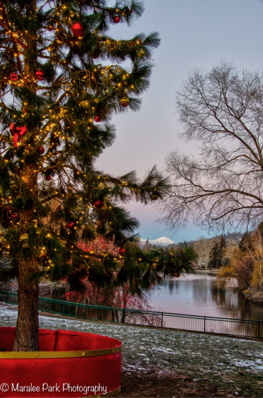 Bend Oregon City Christmas Tree